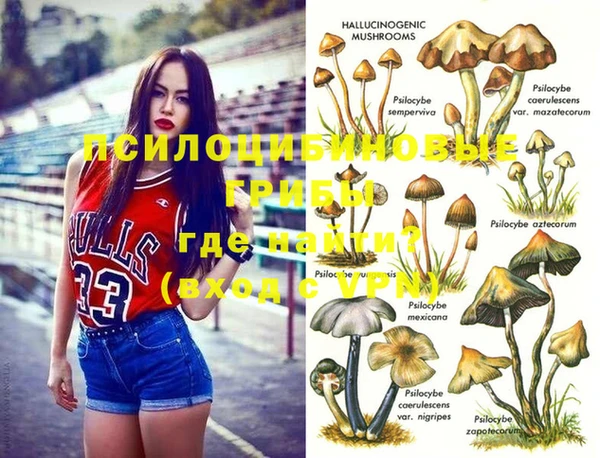 гашиш Бородино