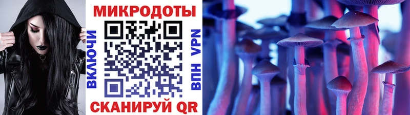 Галлюциногенные грибы Psilocybine cubensis Вилюйск